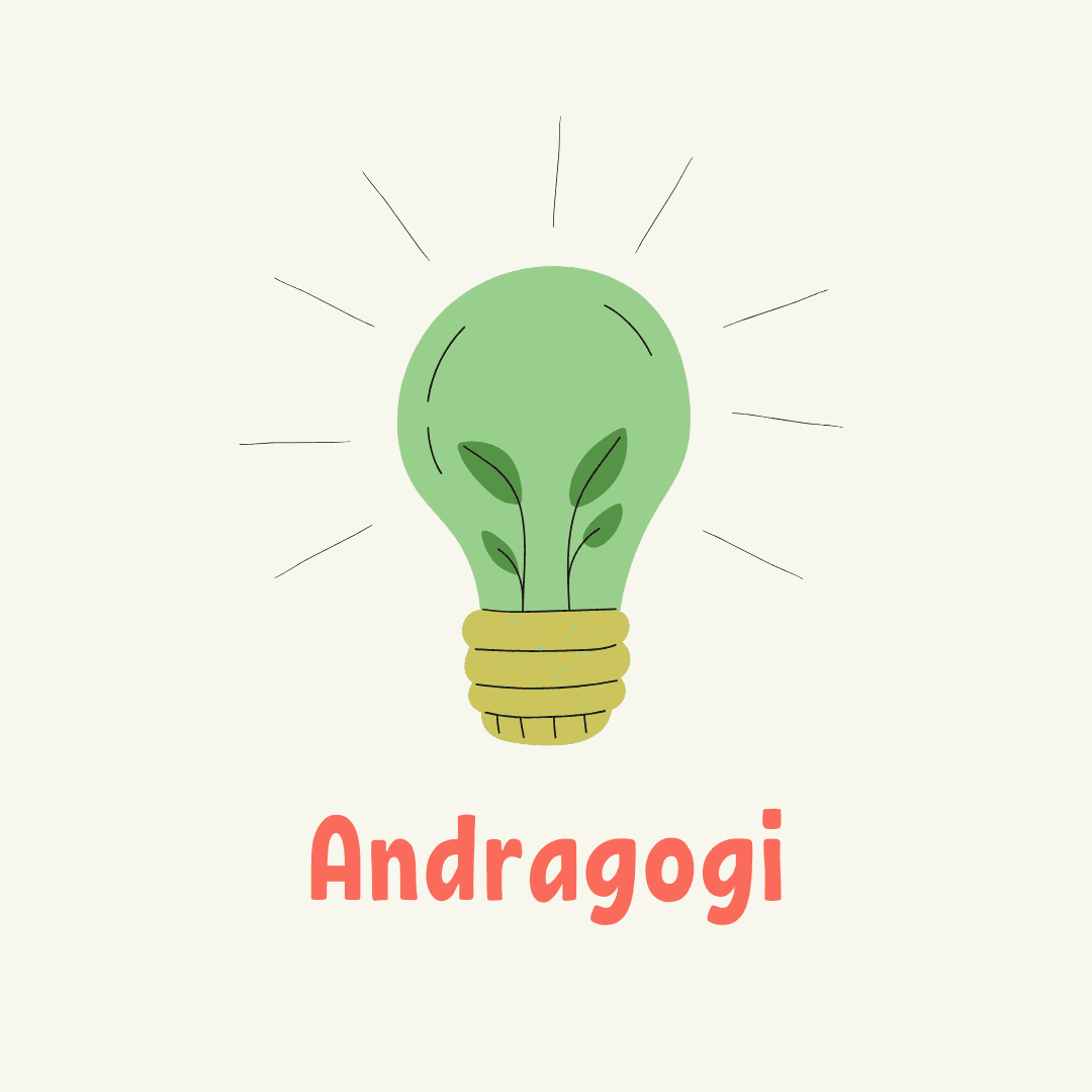 Andragogi